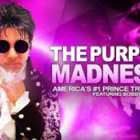 Purple_Madness
