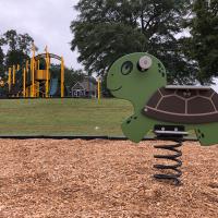 Turtle