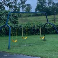 Swings