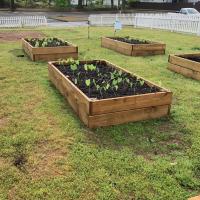 Garden Box