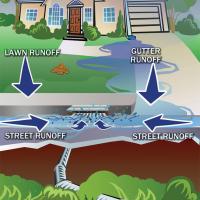 Where does stormwater go?