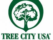 Tree City USA