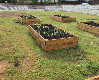 Garden Box