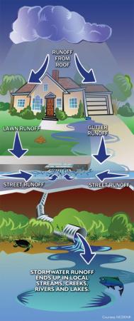 Where does stormwater go?